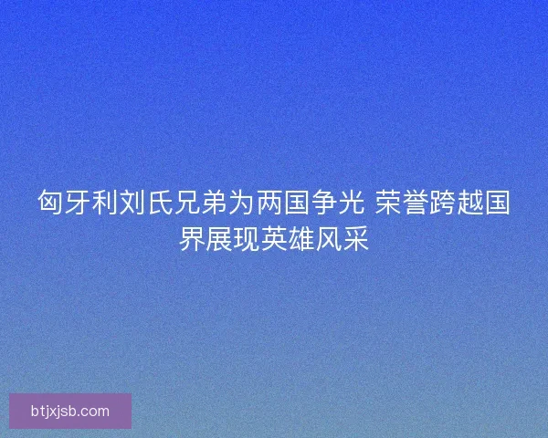 匈牙利刘氏兄弟为两国争光 荣誉跨越国界展现英雄风采